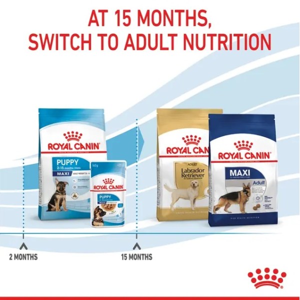 Royal Canin Maxi Puppy - Пълноценна суха храна за подрастващи кученца от 2- до 15-месечна възраст от едри породи